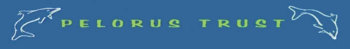 Pelorous Trust